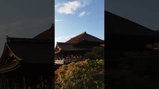 kyoto kiyomizu temple 清水寺 kyoto city [upl. by Eizdnil36]