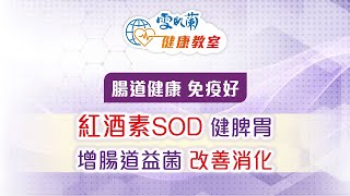 腸道健康 免疫好 張仁傑博士分享：紅酒素SOD 健脾胃 增腸道益菌 改善消化 [upl. by Azar]