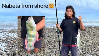 Ulua fishing big Oio rare Nabeta catch from shore [upl. by Lucina228]