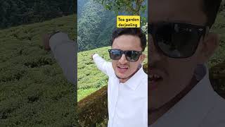 Tea garden darjeeling reelsvideoシ reelsviralシhighlights travel travelblog [upl. by Kingsbury820]