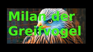 Milan der Greifvogel [upl. by Cathryn]