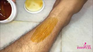 How to Wax Leg Cara Wax Bulu Kaki by Wawawax Hair Removal Cold Wax [upl. by Sonaj266]