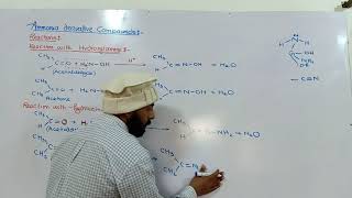 Ammonia derivative reactions  hydroxylamine amp hydrazine with carbonyl compound  12th class ch12 [upl. by Yk]