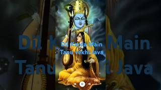 ll Dil Karda Main Tanu Vekhi Java ll shorts devotional meera [upl. by Lednew]