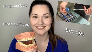 Dental assisting 101 The basics [upl. by Ursi]