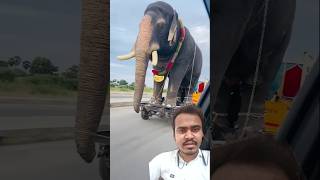 Hathieli 🐘🐘ko kaise uthakar lekar ja Raha🥰😍 elephat animals ytshorts shorts shortsfeed [upl. by Assanav]