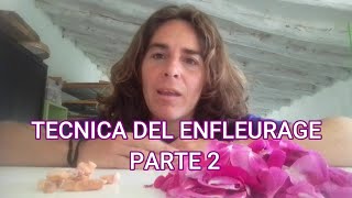 TECNICA DEL ENFLEURAGE PARTE 2 Elaboración de perfumes [upl. by Eserehs144]