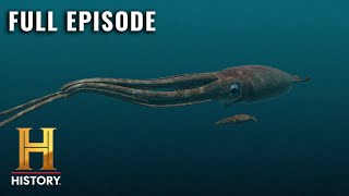 MonsterQuest GIANT SQUID DISCOVERED S1 E3  Full Episode [upl. by Aniraz]