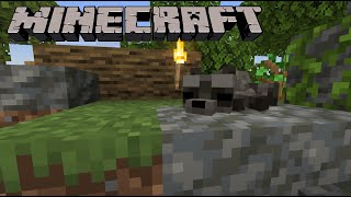 MINECRAFT LETS PLAY PT 3  BUILDING A ZOO Raccoons [upl. by Mozes]