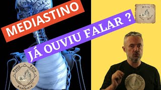 Mediastino já ouviu falar Você vai aprender o que é a região do mediastino [upl. by Clevie]