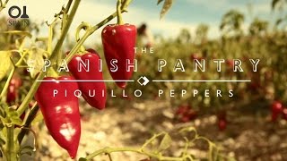 The Spanish Pantry Piquillo Peppers [upl. by Volny]