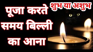 puja karte samay billi ka ghar mein aana ।। पूजा करते समय बिल्ली का आना ।। vastu tips [upl. by Chap892]