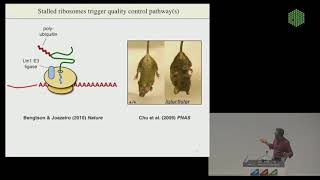 EMBL Keynote Lecture  Quality Control of Nascent Proteins Ramanujan Hegde [upl. by Niwdla808]