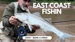 Stripers Cape Breton on Atlantic Ocean FALL 2023 [upl. by Egroej]