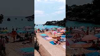 🏖 Las Mejores Playas de Mallorca Spain🇪🇸 2024🌴beach playasdemallorca travel short [upl. by Aineles394]