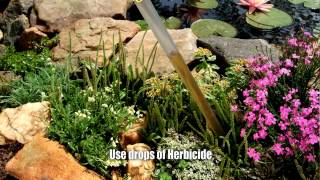 Weed Wand Magic  How to apply herbicide and get rid of weeds [upl. by Nabal648]