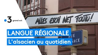 Langue régionale  lalsacien au quotidien [upl. by Asalocin85]