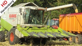 Mais dorsen 2017  Claas Lexion 420 Evolution  Case IH Puma 185 CVX  Almen Harfsen  Lochem  NL [upl. by Oria]