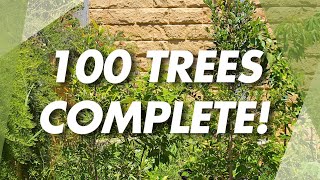 100 tree challenge Done [upl. by Ahsropal]