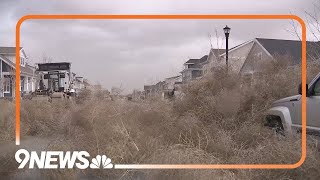 Utah town overrun by thousands of tumbleweeds [upl. by Alcus]