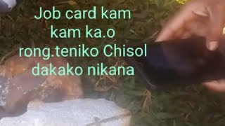 Job card kam kagiparang rongteniko Chisol dake dakako nika [upl. by Zachar]