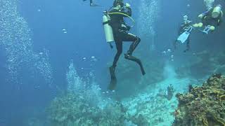 Cozumel Scuba Diving Palancar Gardens 2142024 [upl. by Faline]