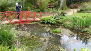 ABBOTSBURY SUBTROPICAL GARDENS 20 APRIL 2017 [upl. by Aglo]