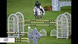 Performance Sale Cavan Equestrian Centre [upl. by Siegel]