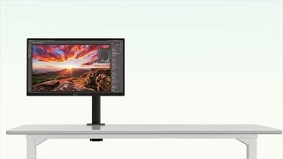 Monitor Ergo Compatible con todos tus espacios [upl. by Devitt]