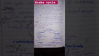 Krebs cycle TCACitric acid cycleviraltrendingviralshorts [upl. by Ysle]