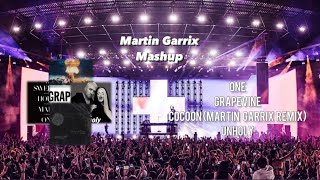 One vs Grapevine vs Cocoon Martin Garrix Remix vs Unholy ［Martin Garrix 2023 Mashup］ [upl. by Chellman]