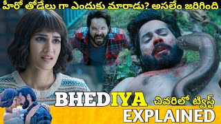 Bhediya Telugu Full Movie Story Explained  Movie Explained in Telugu Telugu Cinema Hall [upl. by Sedgewick]