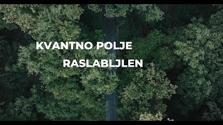 Kvantno polje  Raslabljen Official lyric video [upl. by Vezza]