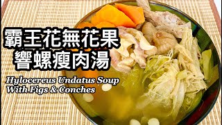 粵語  霸王花無花果響螺瘦肉湯  潤肺、清熱、化痰止咳  Hylocereus Undatus Soup With Figs amp Conches [upl. by Nosmoht]