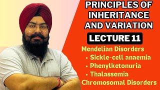 quotPrinciples of Inheritance and Variation  Lecture 11 NEET 2025 Biologyquotbiology ncert [upl. by Plafker]