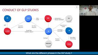 What are the different phases in the GLP study [upl. by Idnod]