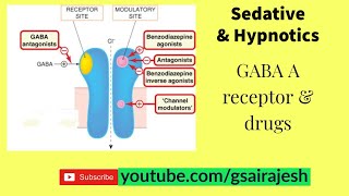 GABAA receptor amp Drugs  Allosteric site Orthosteric site GABA facilitator amp GABA Mimetic [upl. by Bently]