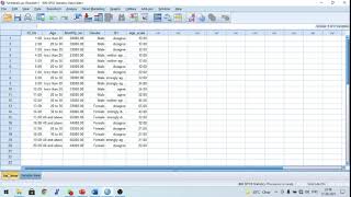 Types of Measurement in SPSS Nominal Ordinal and Scale [upl. by Leirud]