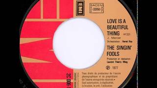 The Singin Fools quotLove is a beautiful thingquot 1977 EMI [upl. by Atinoj]