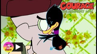 Courage The Cowardly Dog  Deadly Duckling  Cartoon Network [upl. by Fishbein]