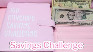 BOOST Your Savings with the 100 Envelope Challenge [upl. by Sollars43]