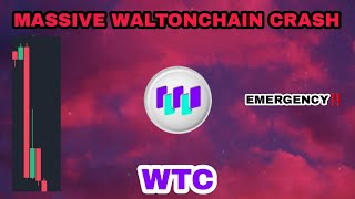 WTC COIN MASSIVE CRASH IN DECEMBER 2023‼️ WALTONCHAIN EMERGENCY UPDATE‼️ BINANCE DELISTING NEWS [upl. by Drofdeb]