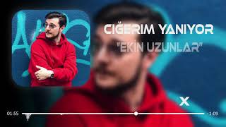 Ekin Uzunlar  Ciğerim Yanıyor  Furkan Demir Remix [upl. by Guadalupe]