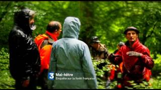 « Malhêtre enquête sur la forêt française »  Documentaire inédit 📺 [upl. by Peppi]