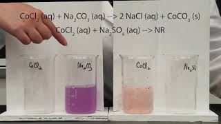 Precipitation Reactions [upl. by Malcolm]