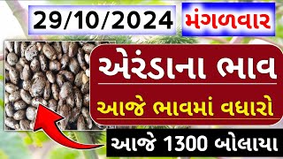 એરંડા ના ભાવ । 28102024 । Aranda Na Bhav । આજનાં એરંડાના ભાવ । eranda no bhav બજારભાવ [upl. by Aynna]