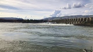 Oregon The Dalles Dam [upl. by Aytac124]