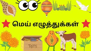 மெய் எழுத்துக்கள்  Tamil Consonant Letters for Kids  Learn Tamil Alphabet [upl. by Asiled]