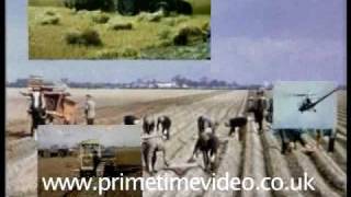 Fenland Farming 1955 DVD [upl. by Colas]