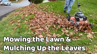 Mowing Grass amp Mulching Leaves  Later October [upl. by Ahsenav]